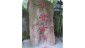 恭奉「康公真君」聖像，手繪本真跡，乃目前香港唯一在廟宇恭奉之「康公真君」聖像。